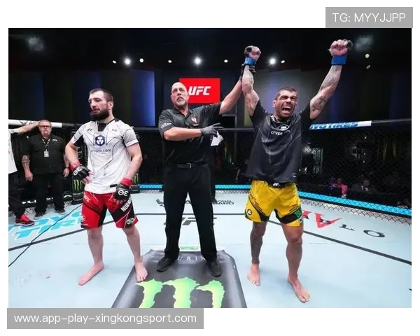 UFC一回合连续命中终结比赛：黄金瞬间的胜者之路