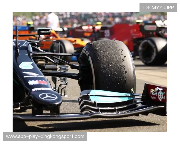 汉密尔顿强调轮胎管理策略