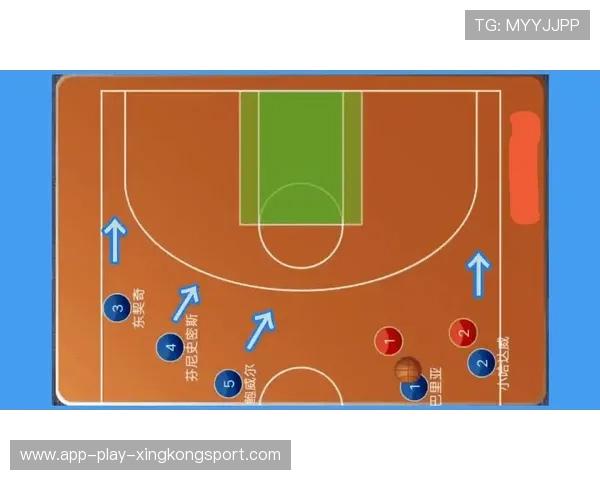 观赛指南:如何高效观看并理解专业比赛战术要点,最全观赛指南