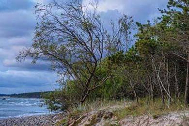 APEX英雄 全球战队积极备战，apex战队成员