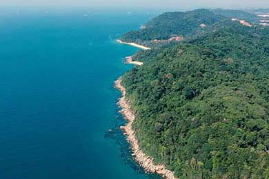 2024年度中菲友谊日体育节隆重开幕，中菲男篮友谊赛